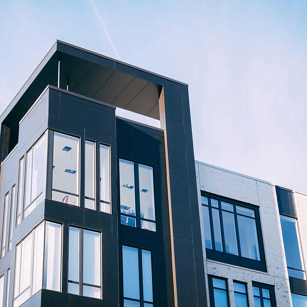 PRESSURES ON DOGS LIVING IN APARTMENTS - The Happy Jack Co