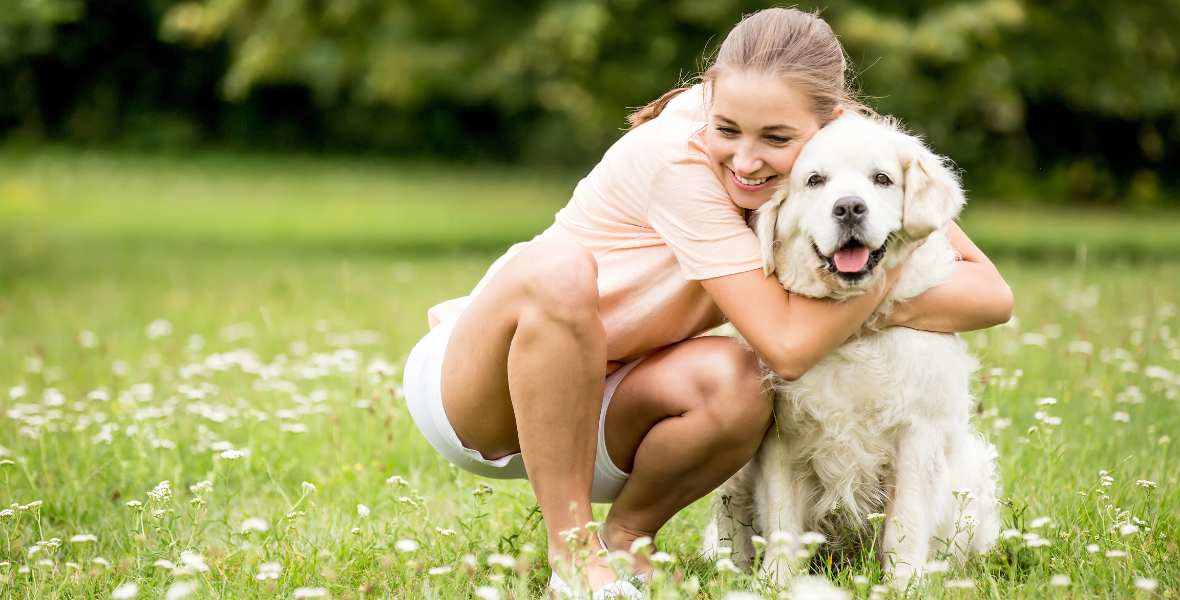 Spring Allergies in Dogs: Finding Relief for Your Dog - The Happy Jack Co