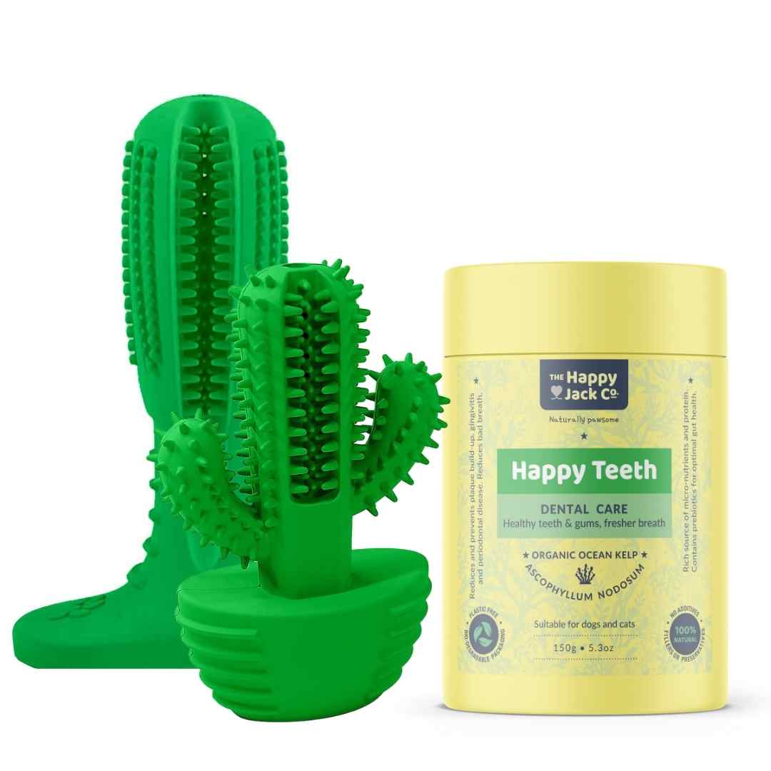 Dental Care | The Happy Jack Co