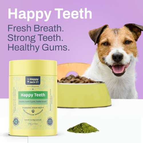 Happy Teeth Dog Dental Care