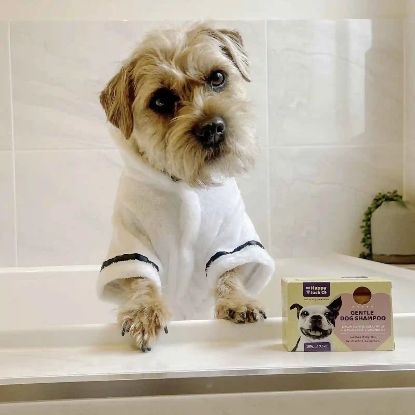 Gentle Dog shampoo bar