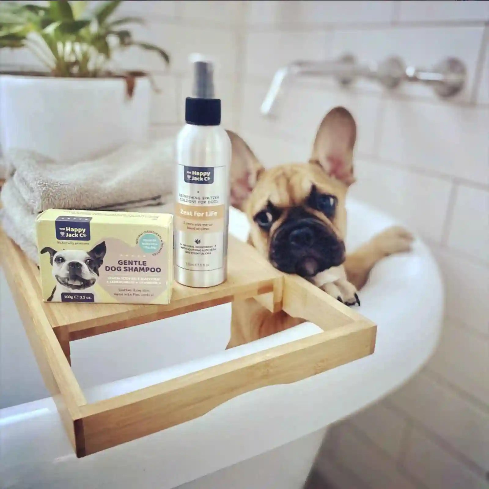 Gentle Dog shampoo bar