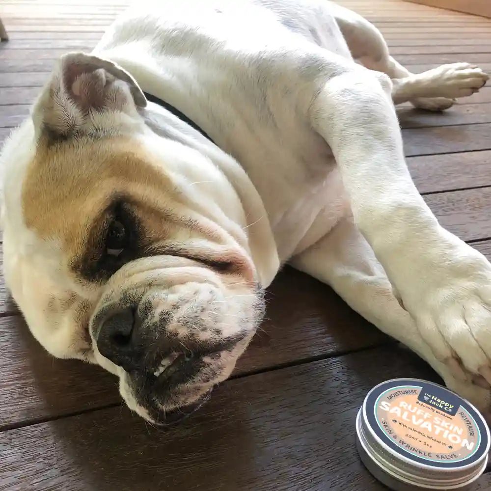 Skin &amp; Wrinkle Balm for Dogs - The Happy Jack Co