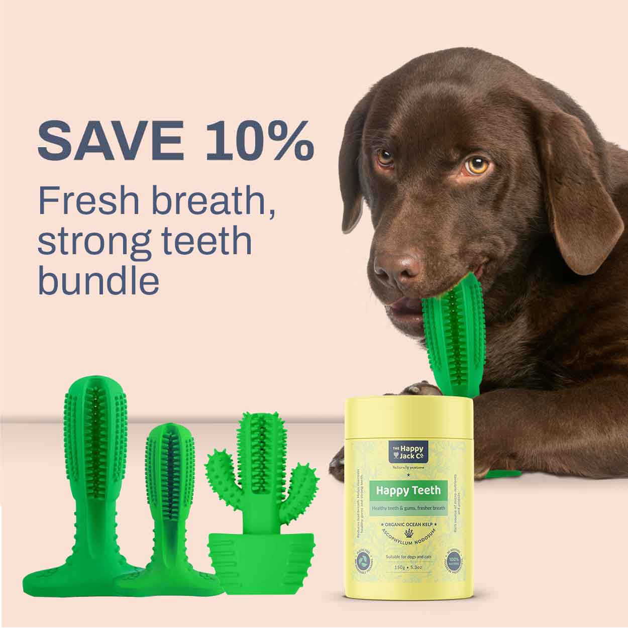 Dog dental care bundle. Save 10%.