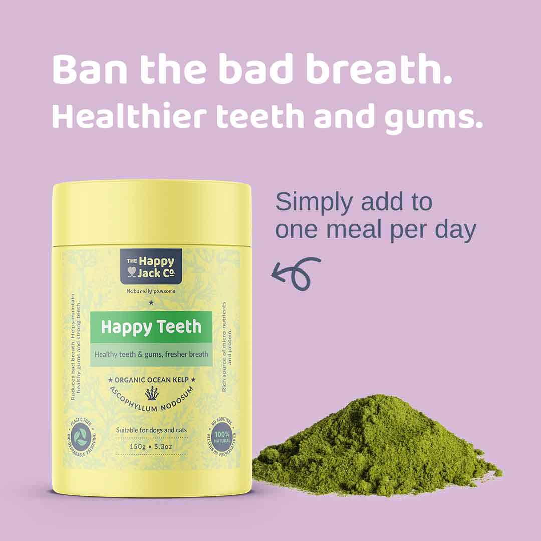 Easy dog dental care. Simply add to one meal per day.