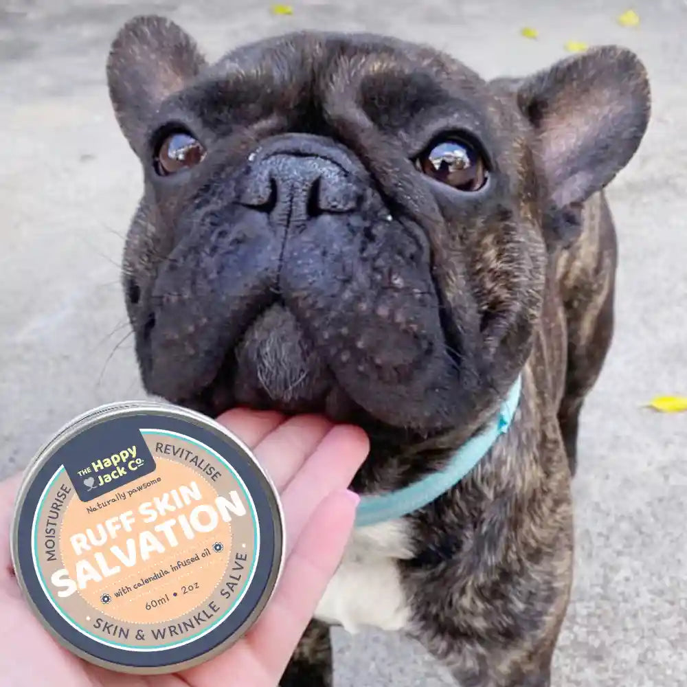 Happy jack skin 2025 balm for dogs