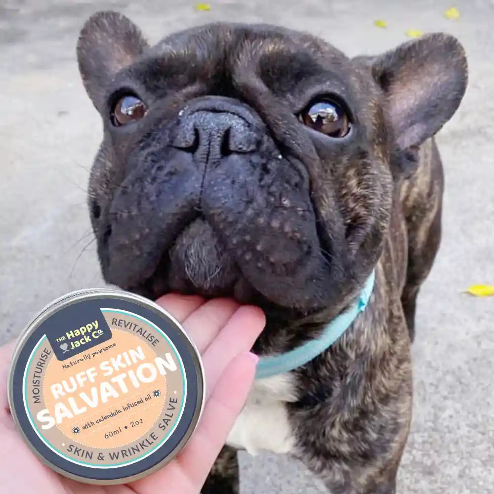 Skin balm for dogs and a French Bulldog