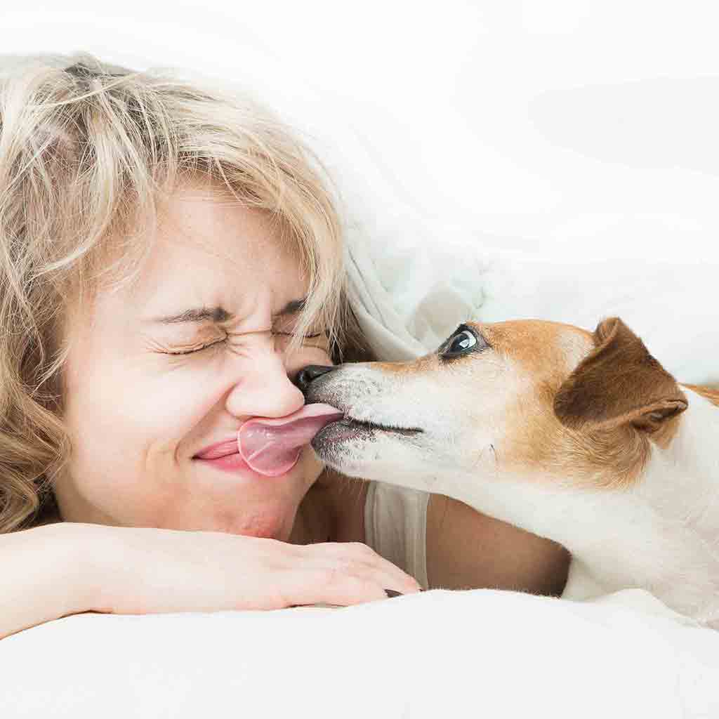 Happy dog with fresh breath and clean teeth giving its owner a lick on the face. | Happy Teeth Dental Care For Dogs