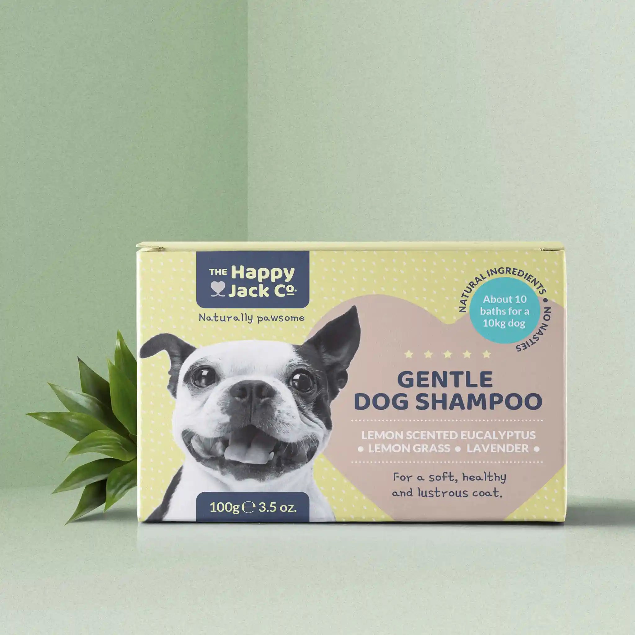 Scented sales dog shampoo