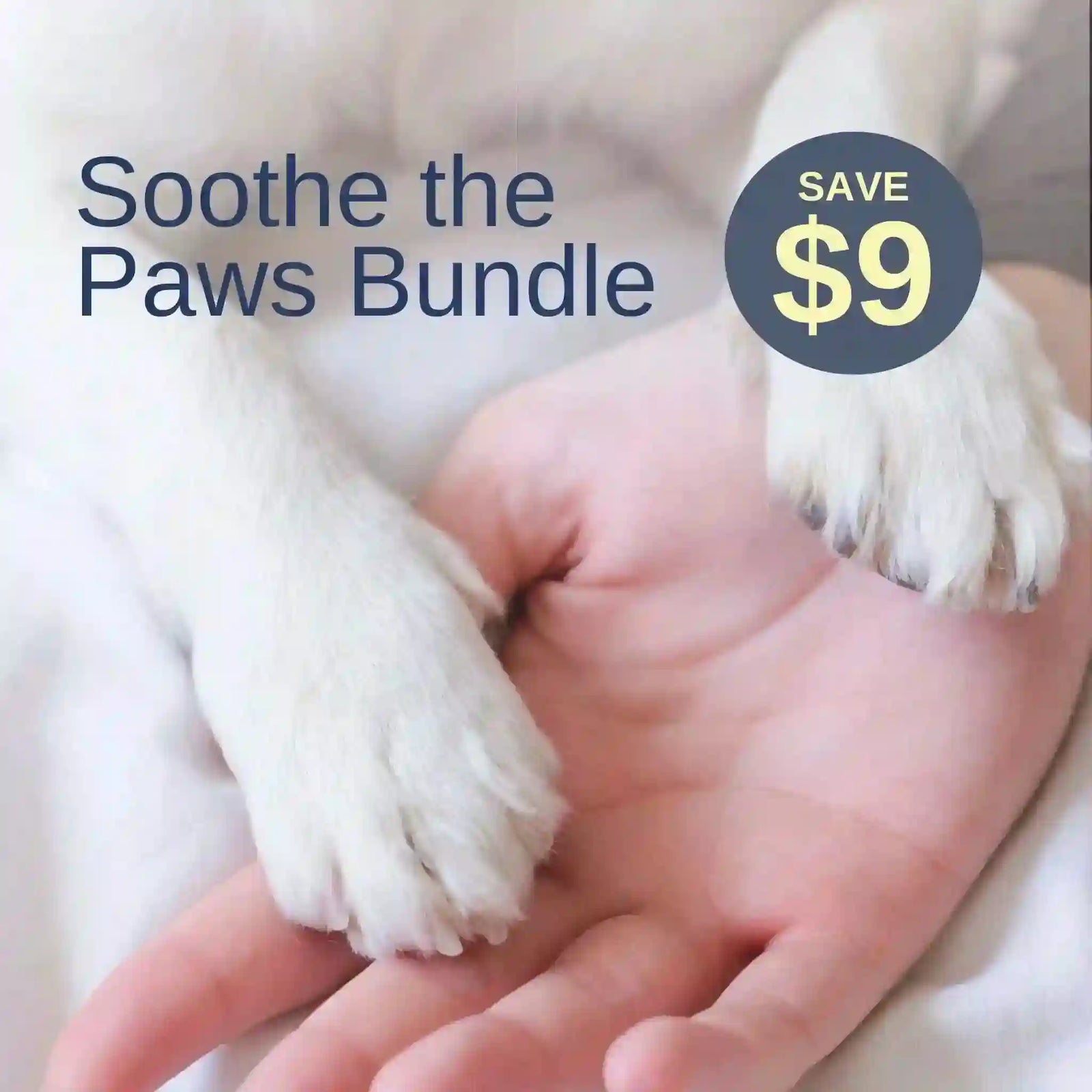 Soothe the paws - SAVE $9 - The Happy Jack Co