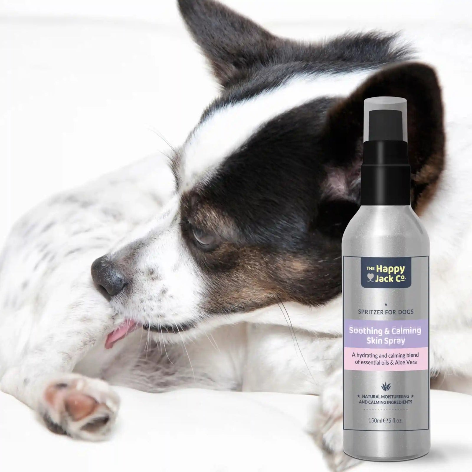 Spray to sales calm dogs down