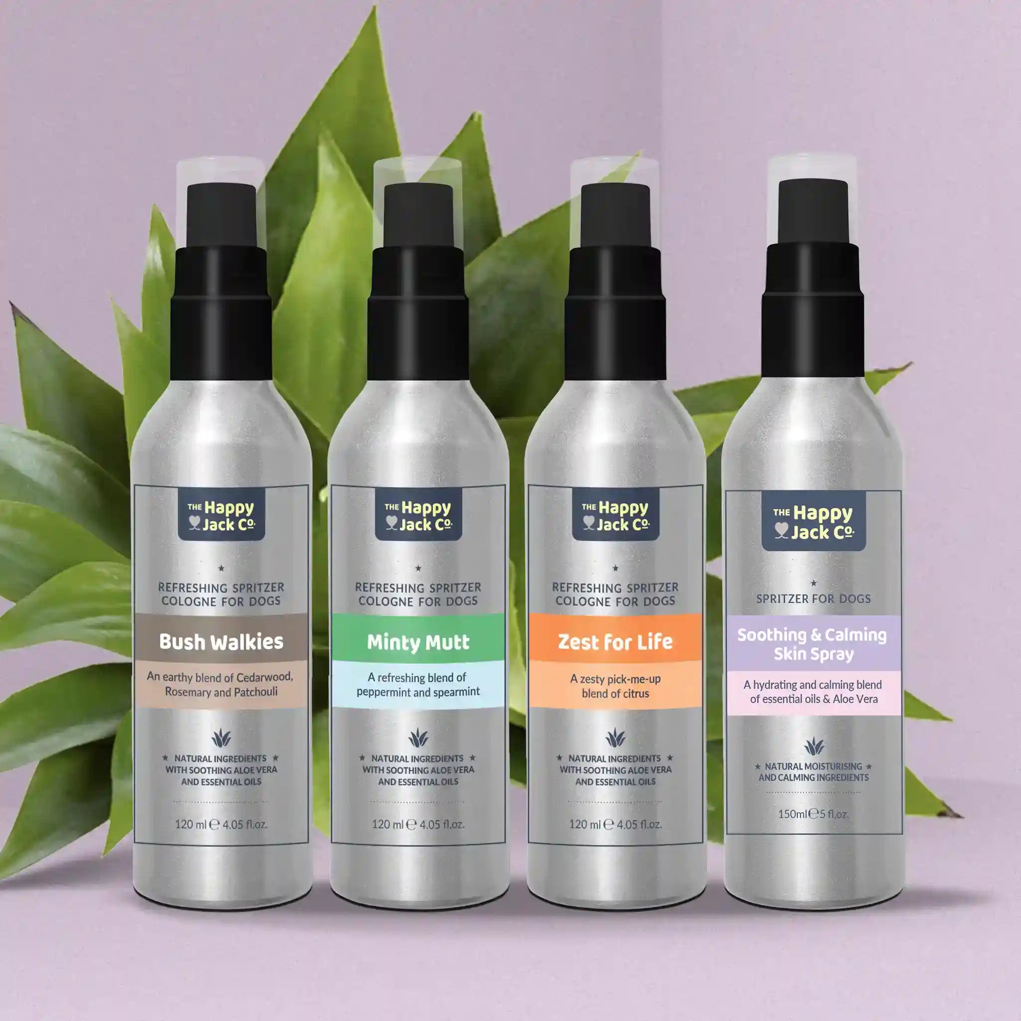 Happy jack dog hot sale shampoo